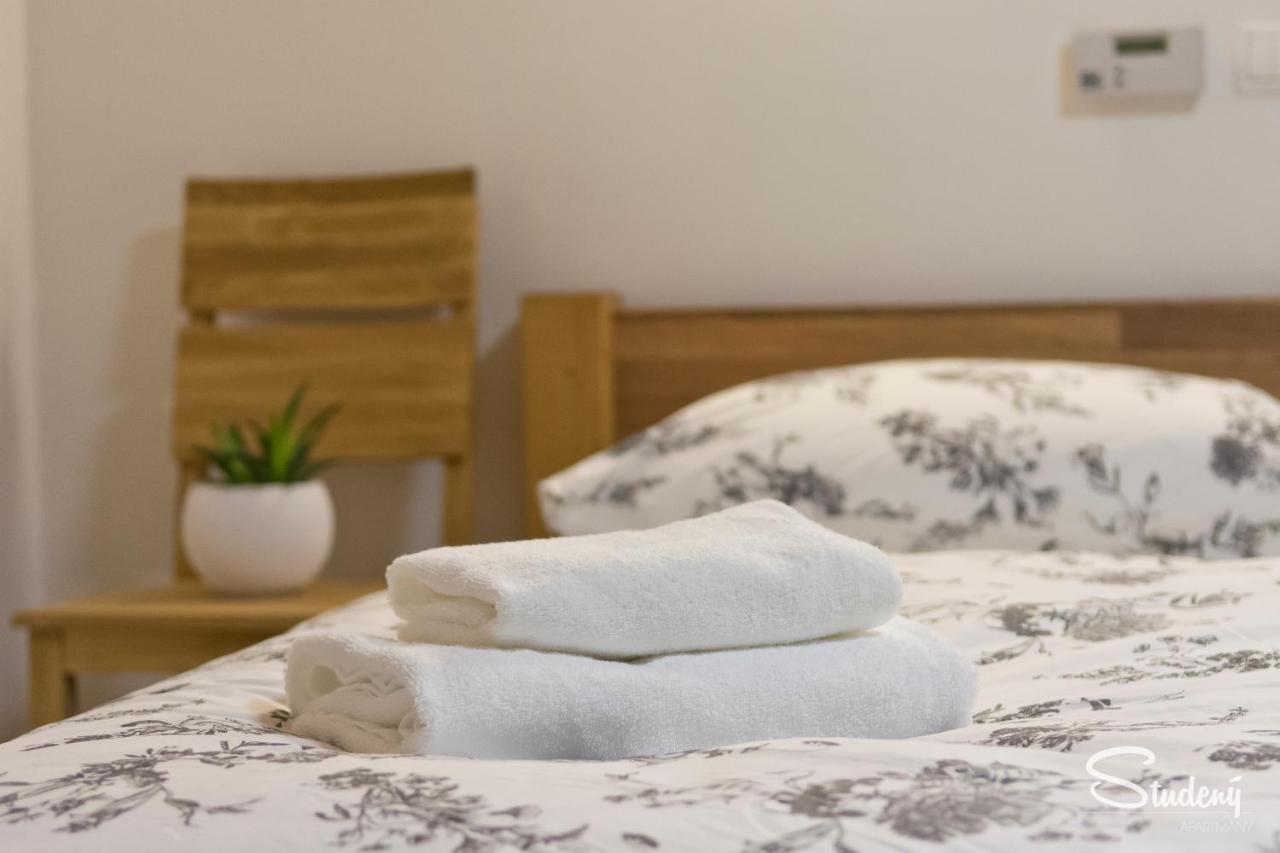 Studeny Homestay Kunratice (Usti nad Labem)